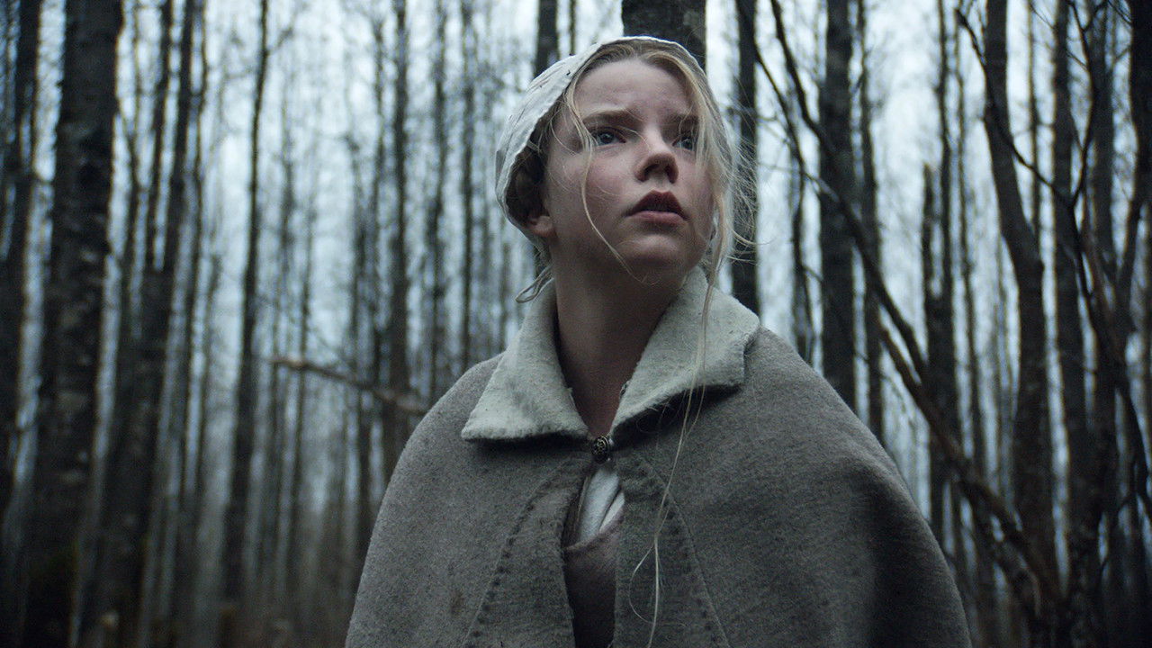 Backdrop image for movie The Witch