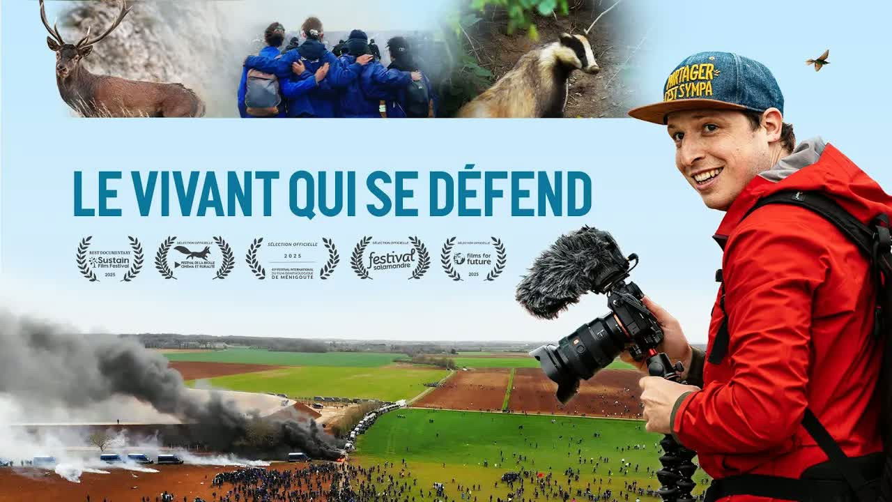 Backdrop image for movie The Wild Defending Itself