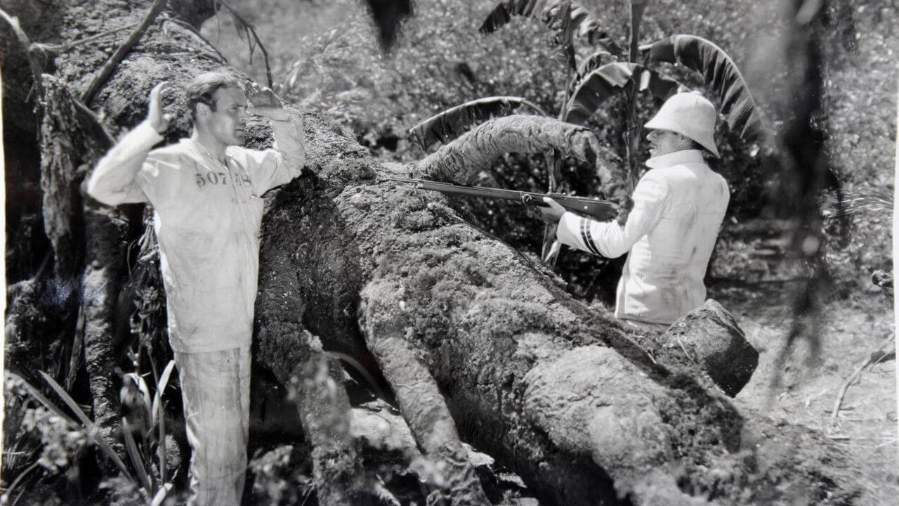 Backdrop image for movie Hell's Island