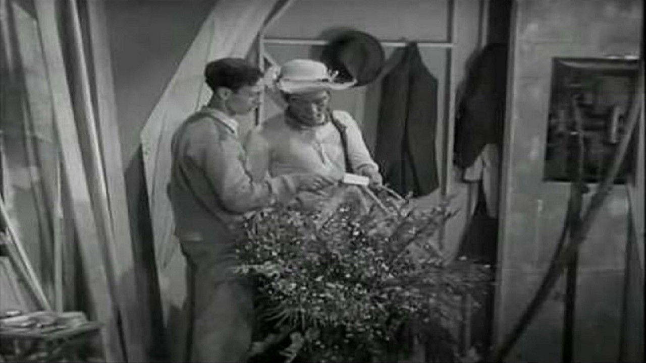 Backdrop image for movie Águila o sol