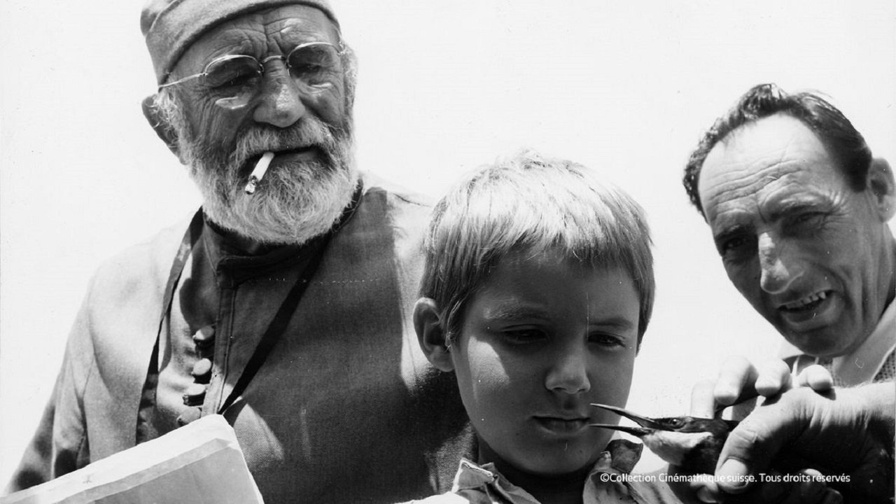 Backdrop image for movie The Steppe
