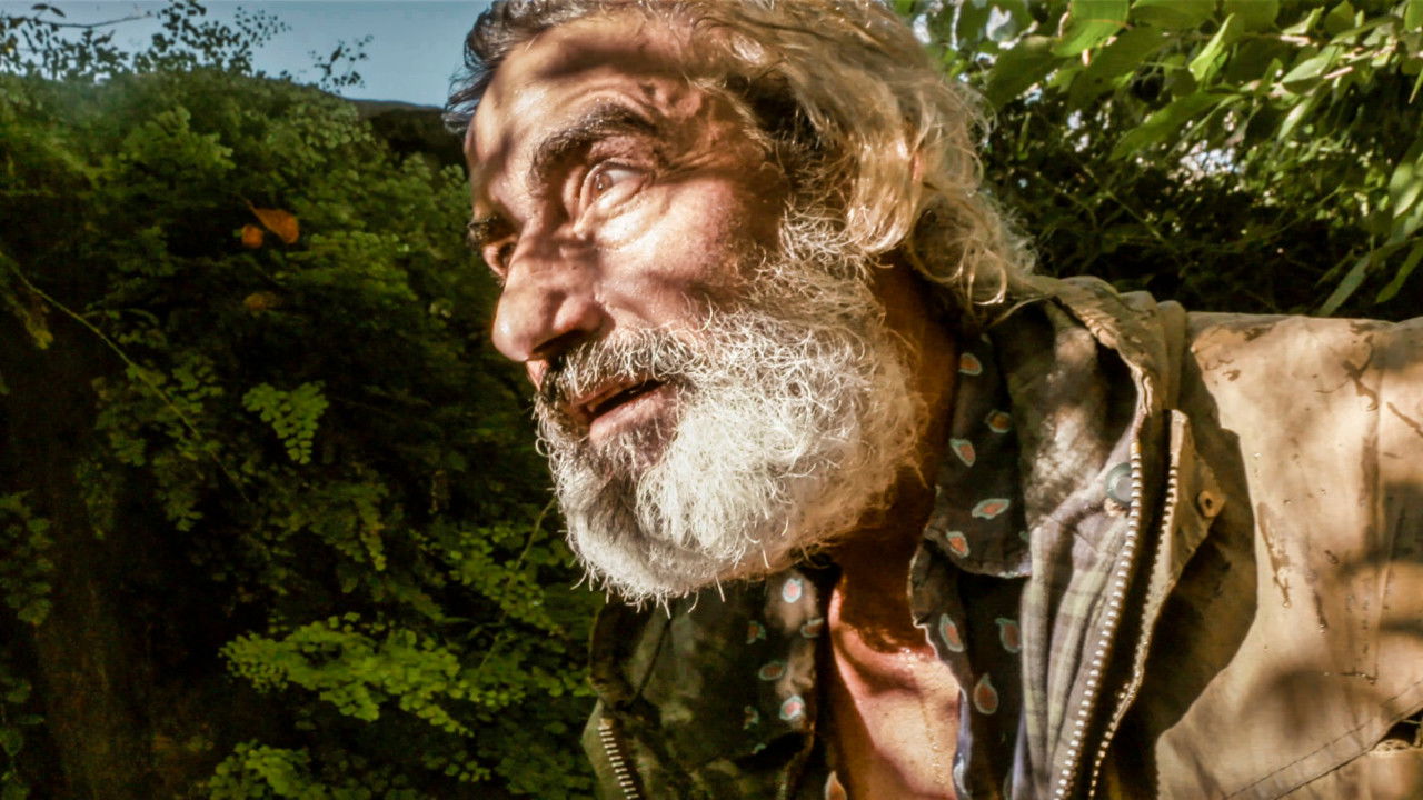 Backdrop image for movie Un tiempo precioso