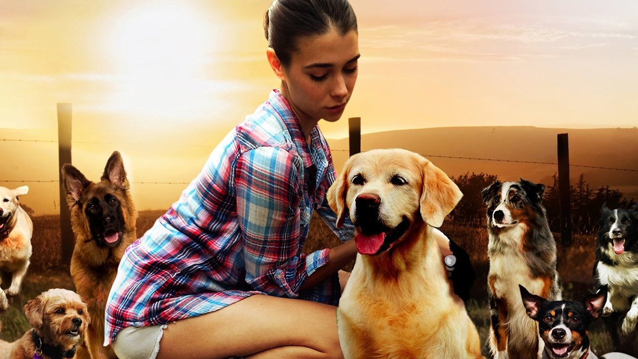 Backdrop image for movie The Dog Lover