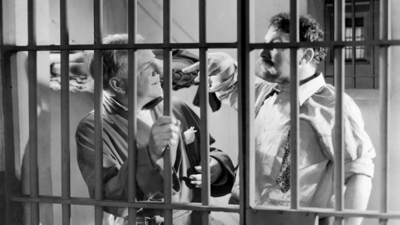 Backdrop image for movie Man on the Flying Trapeze