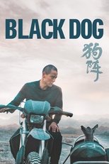 Black Dog