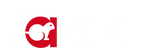 Network