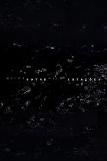 Hilda Hilst Entre Estações