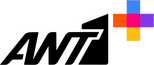 Network
