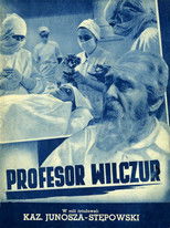 Profesor Wilczur