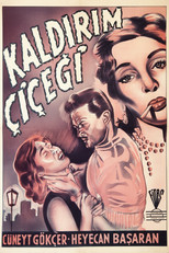 Kaldırım Çiçeği