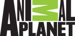 Network