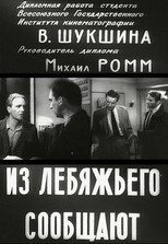 Reports from Lebyazhye