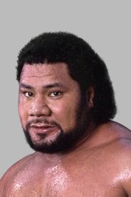 Photo of Tonga Fifita