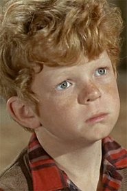 Photo of Johnny Whitaker
