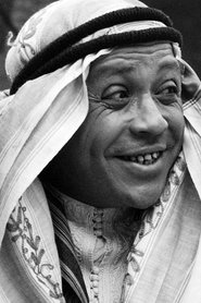 Photo of Hédi Semlali