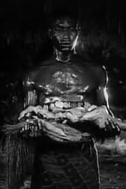 Photo of Curtis Nero