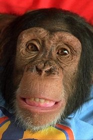 Photo of Louie