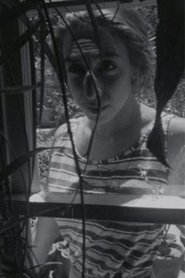 Photo of Amy Halpern