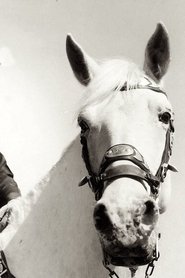 Photo of Silver