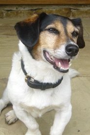 Photo of Strapper