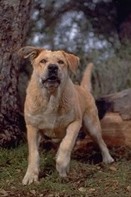 Photo of Spike