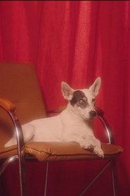 Photo of Ricotte