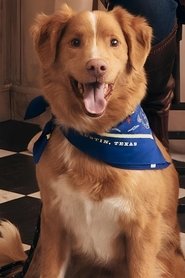 Photo of Indy