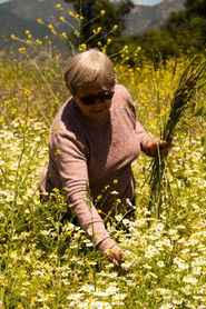 Photo of Gladys González