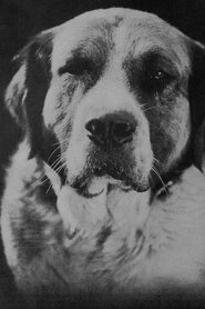 Photo of Buck