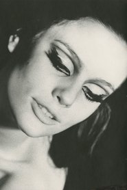 Photo of International Velvet
