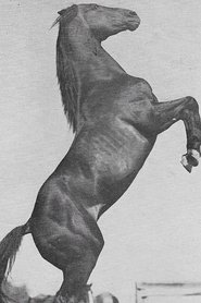 Photo of Rex