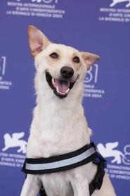 Photo of Rambo