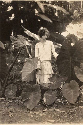 Na Primavera da Vida