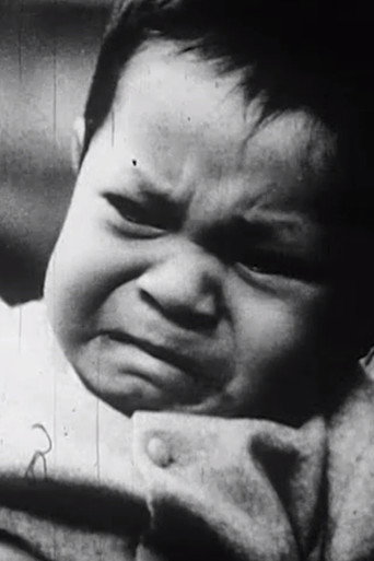 The Witness or Timid Expectations