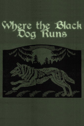 Where the Black Dog Runs