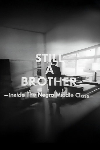 Still A Brother: Inside the Negro Middle Class
