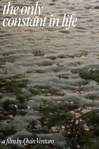 The Only Constant In Life