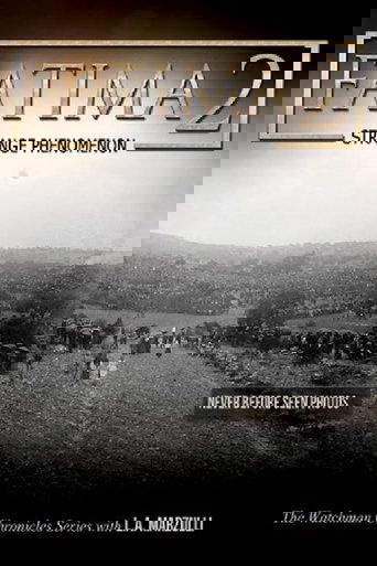 Fatima 2: Strange Phenomena