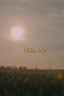 Hélianthe