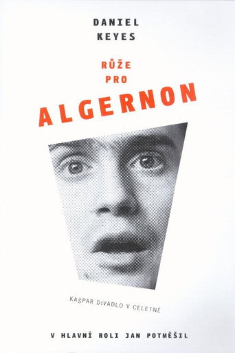 Růže pro Algernon