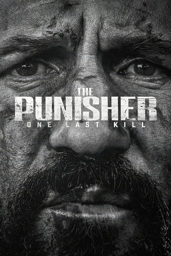 The Punisher: One Last Kill