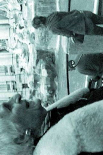 THE INTERPRETER OF BLACK AND WHITE FILMS