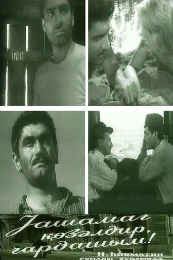 The Life is Beautiful, Brother!