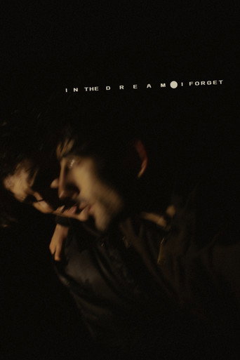 In the Dream I Forget