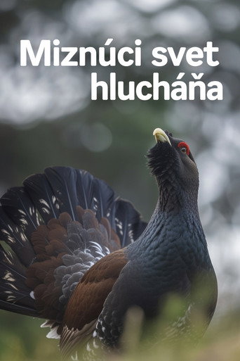 Disappearing World of the Capercaillie