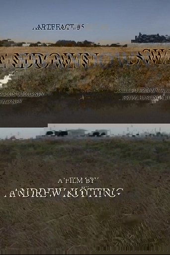 Artefact #5: Swandown – Culled from a Waterbound Journey from Hastings to Hackney