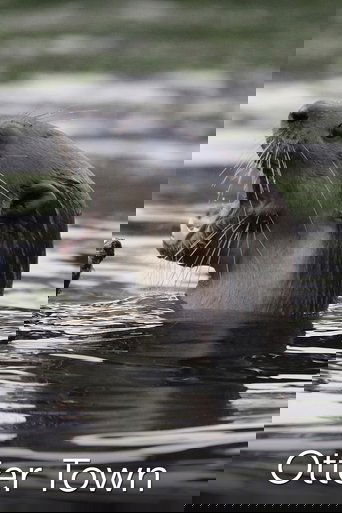 Otter Town