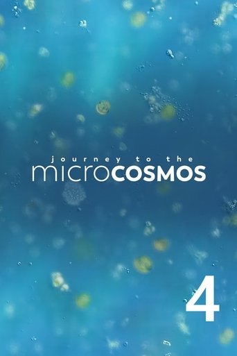 Season 4