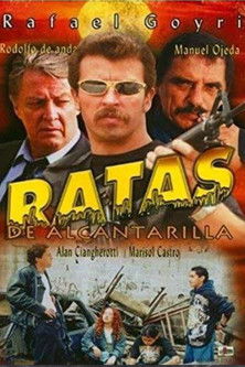 Ratas de Alcantarilla