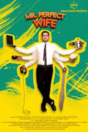 Mr Perfect Wife